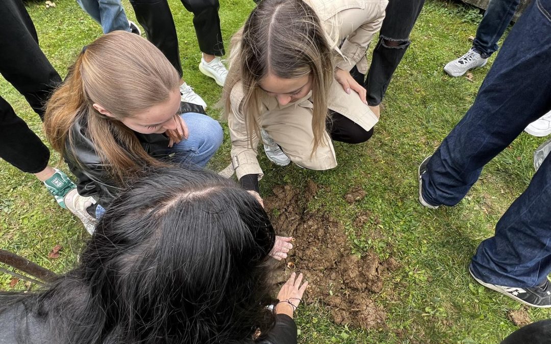 Tudi letos na Ekonomski šoli Murska Sobota sodelujemo v projektu Krokus